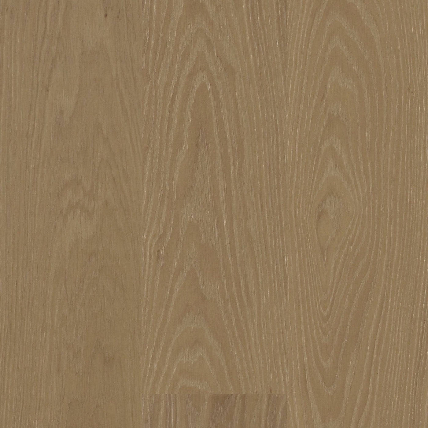 European Oak - Escarpment Sample*